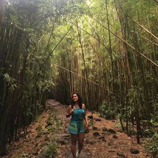 Pipiwai Bamboo Trail