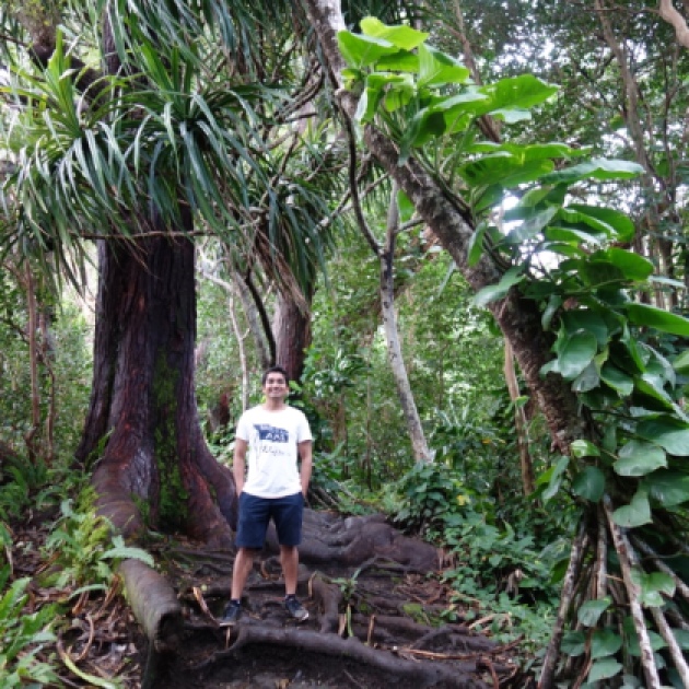 Waikamoi Nature Trail